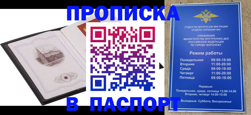 прописка в квартире в Ленинградской области